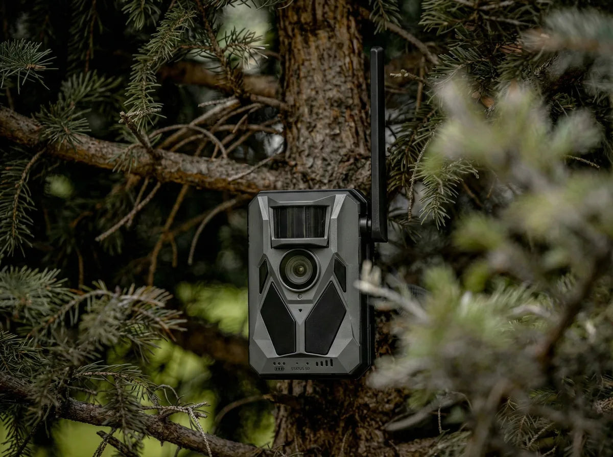 Photographie réelle de la caméra APEX PRO Nordic Gamekeeper fixée sur un arbre.